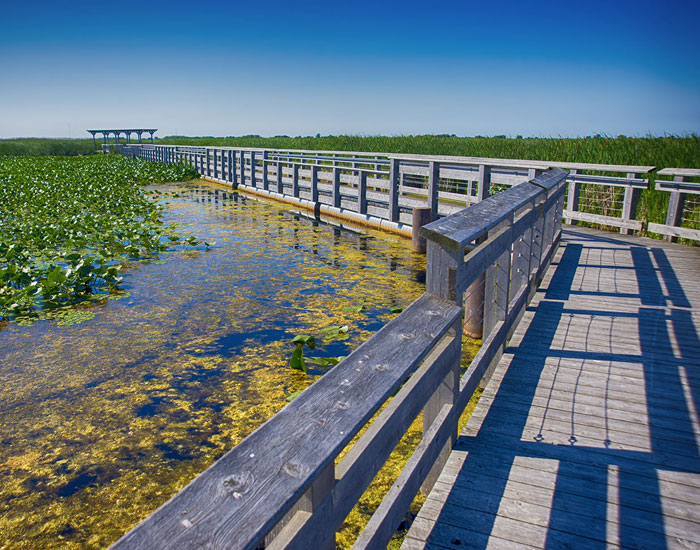 Room Bookings Leamington, ON